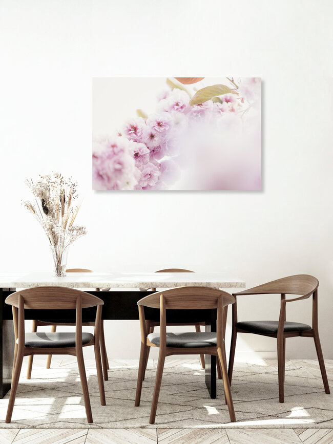 Cherry Blossom Branch Against a Bright Background, Germany – wall art by Nadja Jacke as Poster or Acrylic Glass Print