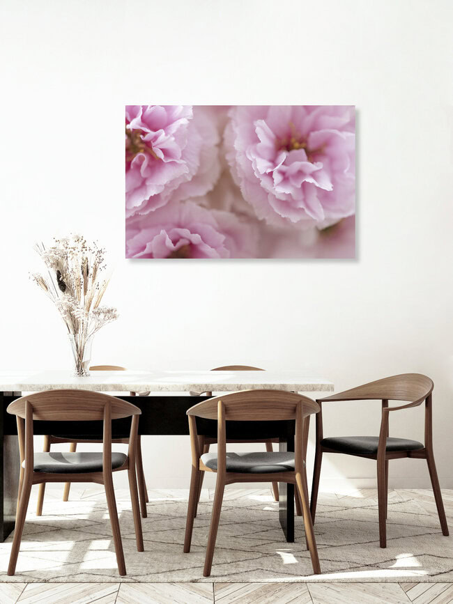 Among the Cherry Blossoms, Germany – wall art by Nadja Jacke as Poster or Acrylic Glass Print