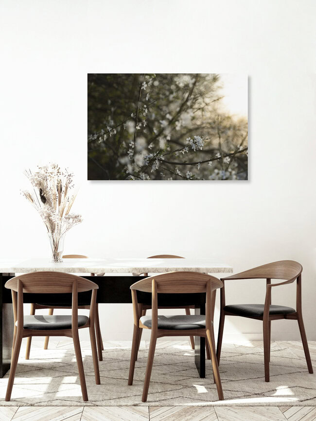 Blackthorn Blossoms at Sunset, Germany – wall art by Nadja Jacke as Poster or Acrylic Glass Print