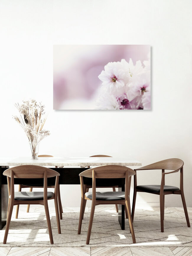 Light Cherry Blossoms with Soft Background, Germany – wall art by Nadja Jacke as Poster or Acrylic Glass Print