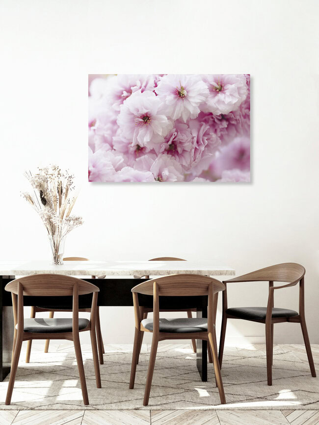 Close-Up of Pink Cherry Blossoms, Germany – wall art by Nadja Jacke as Poster or Acrylic Glass Print