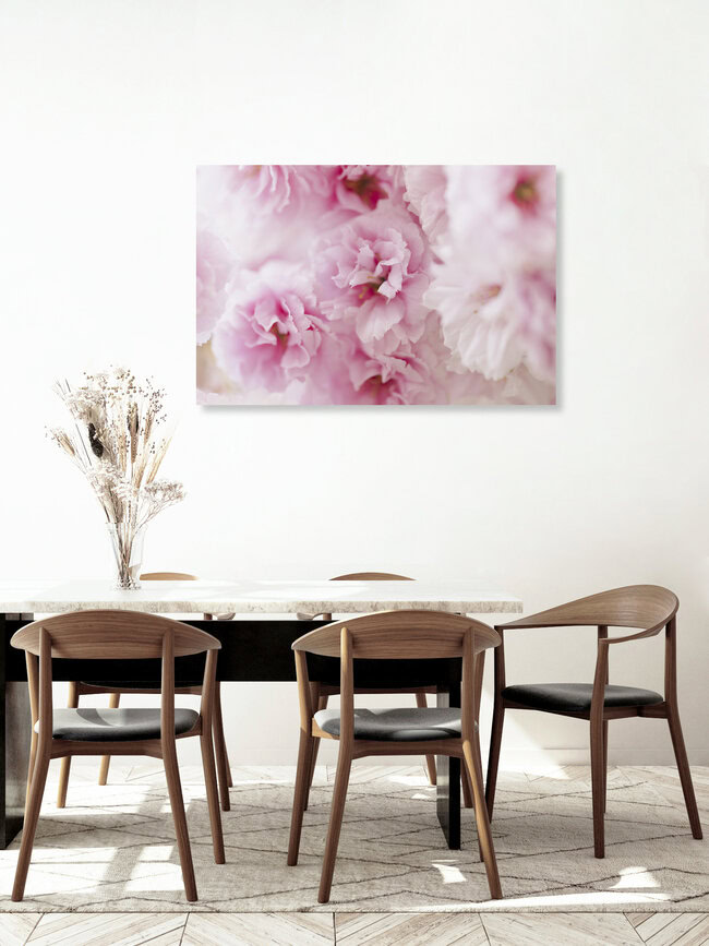 Pink Cherry Blossoms in Soft Light, Germany – wall art by Nadja Jacke as Poster or Acrylic Glass Print