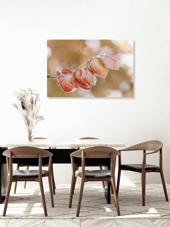 Young Copper Beech Leaves in Spring, Germany – wall art by Nadja Jacke as Poster or Acrylic Glass Print