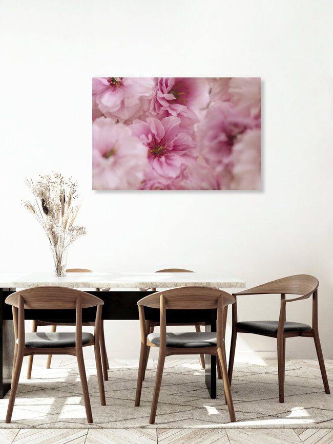 Detailed View of Double Cherry Blossoms, Germany – wall art by Nadja Jacke as Poster or Acrylic Glass Print