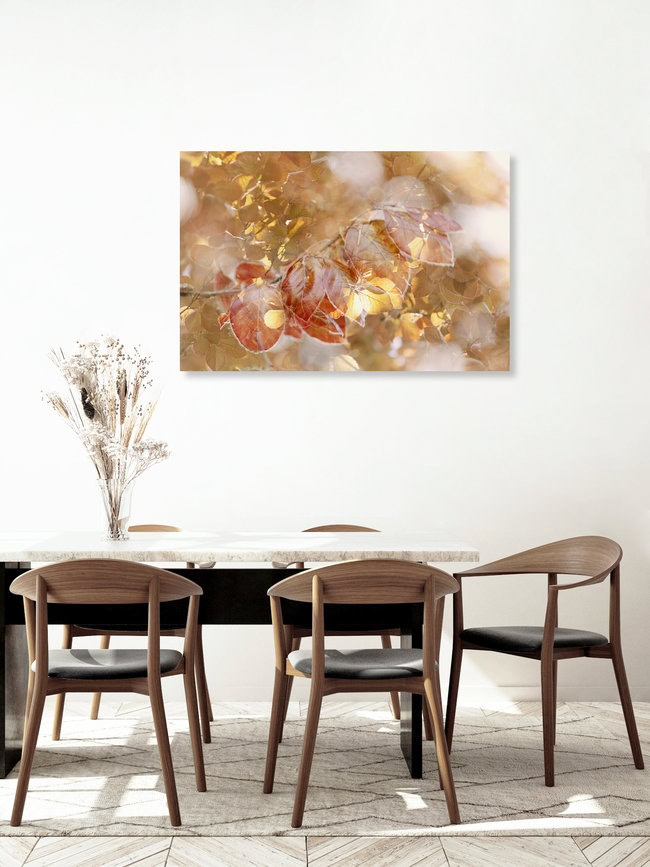 Copper Beech Foliage in Gentle Double Exposure, Germany – wall art by Nadja Jacke as Poster or Acrylic Glass Print