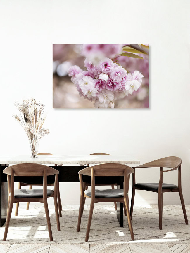 Lush Cherry Blossoms in Pink, Germany – wall art by Nadja Jacke as Poster or Acrylic Glass Print