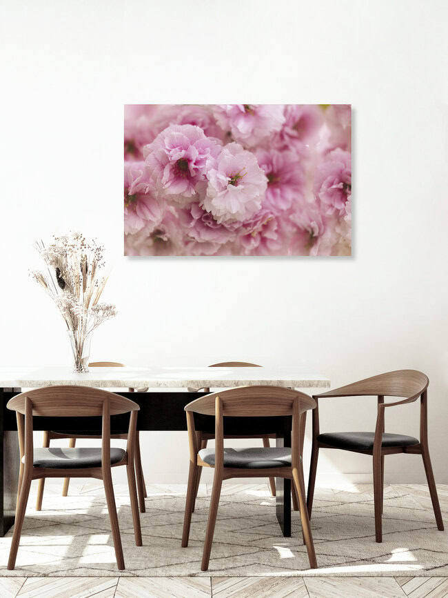 Pink Cherry Blossoms in Detail, Germany – wall art by Nadja Jacke as Poster or Acrylic Glass Print