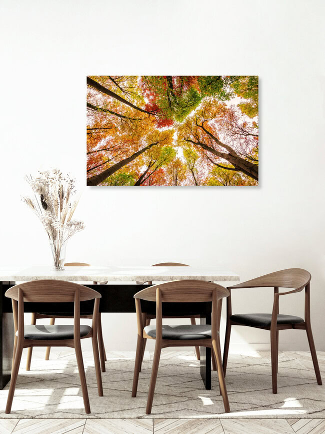 Die Farben des Herbstes, Germany – wall art by Heiko Gerlicher as Poster or Acrylic Glass Print
