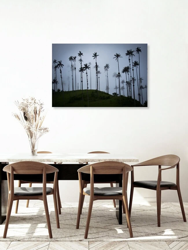 Quindio wax palms, Colombia – wall art by Jonas Schleske as Poster or Acrylic Glass Print