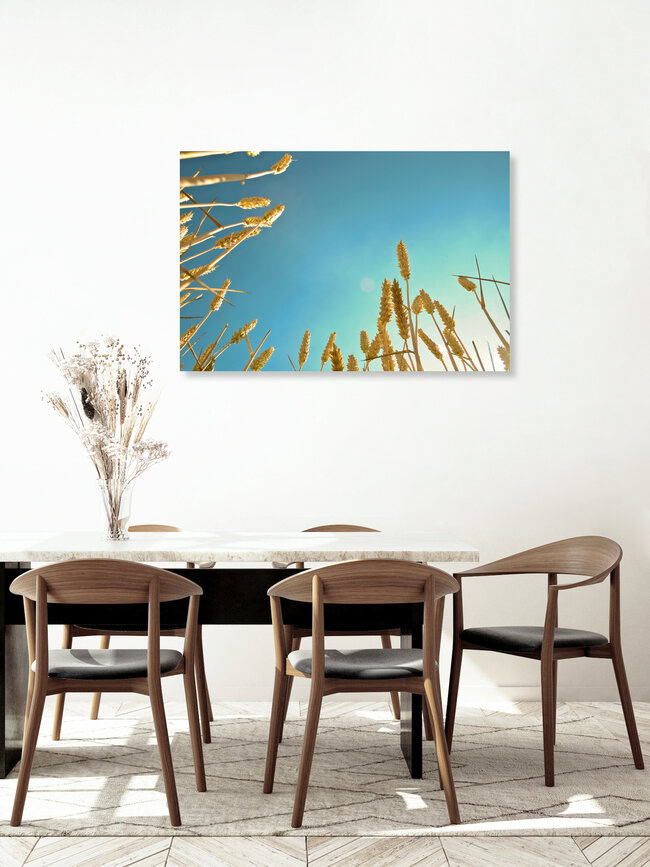corn field, Germany – wall art by Martin Bliedung as Poster or Acrylic Glass Print