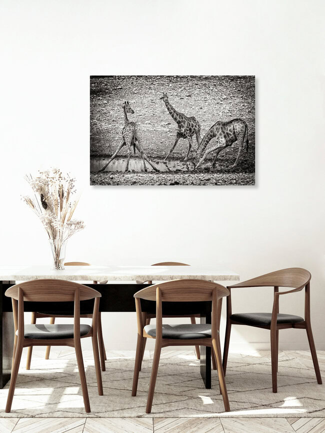 giraffe at waterhole A, Namibia – Fotokunst von Franzel Drepper als Poster oder Acrylglasbild
