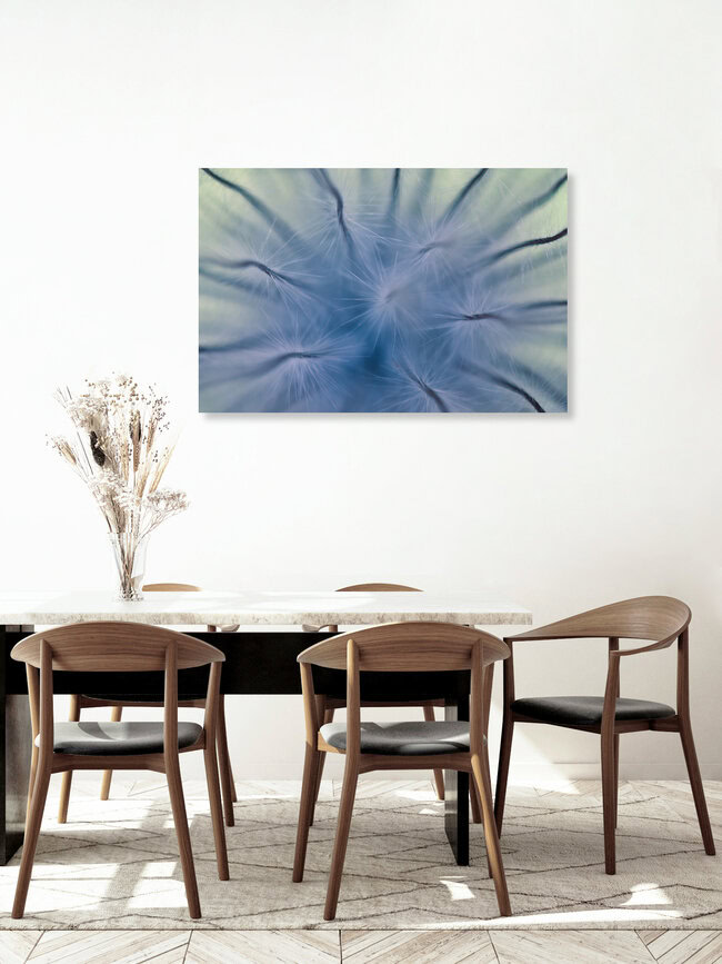 Blütenstand, Deutschland – Fotokunst von Gregor Ingenhoven als Poster oder Acrylglasbild