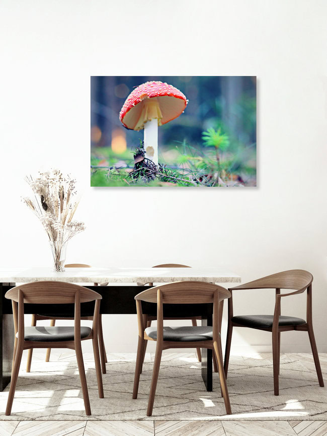 red riding hood, Deutschland – Fotokunst von Steffi Fleischer als Poster oder Acrylglasbild