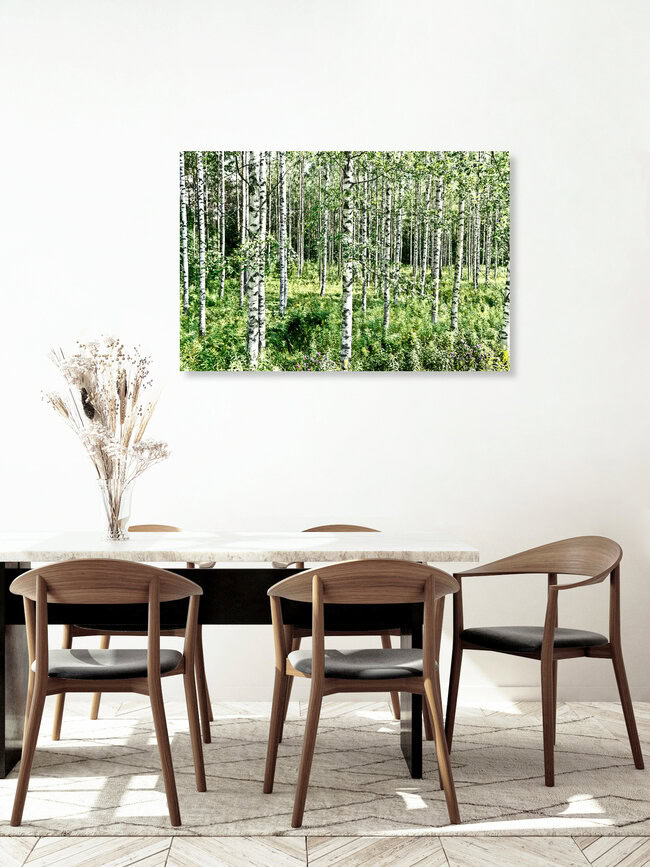 Birken, Finnland – Fotokunst von Tim Bendixen als Poster oder Acrylglasbild