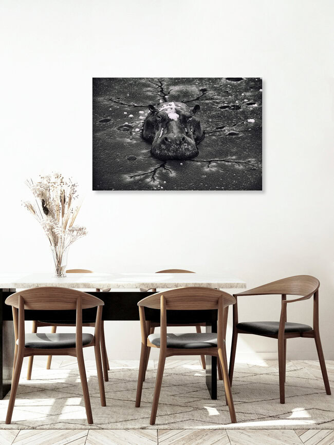 Frozen, Sambia – Fotokunst von Nicole Cambré als Poster oder Acrylglasbild
