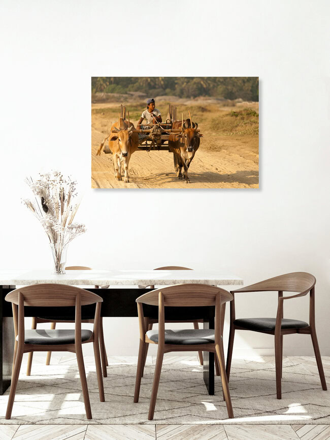 Bullock Cart Boy, Myanmar – wall art by Marc Rasmus as Poster or Acrylic Glass Print