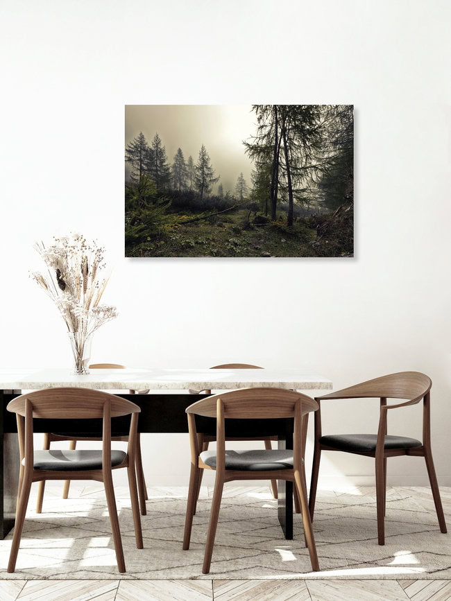 A mystical forest with fog and shining behind trees, Österreich – Fotokunst von Markus Schieder als Poster oder Acrylglasbild