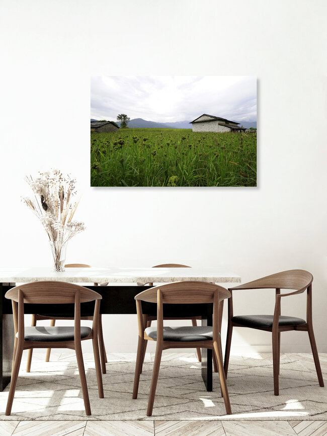Hirse Feld, Nepal – wall art by Markus Hertrich as Poster or Acrylic Glass Print