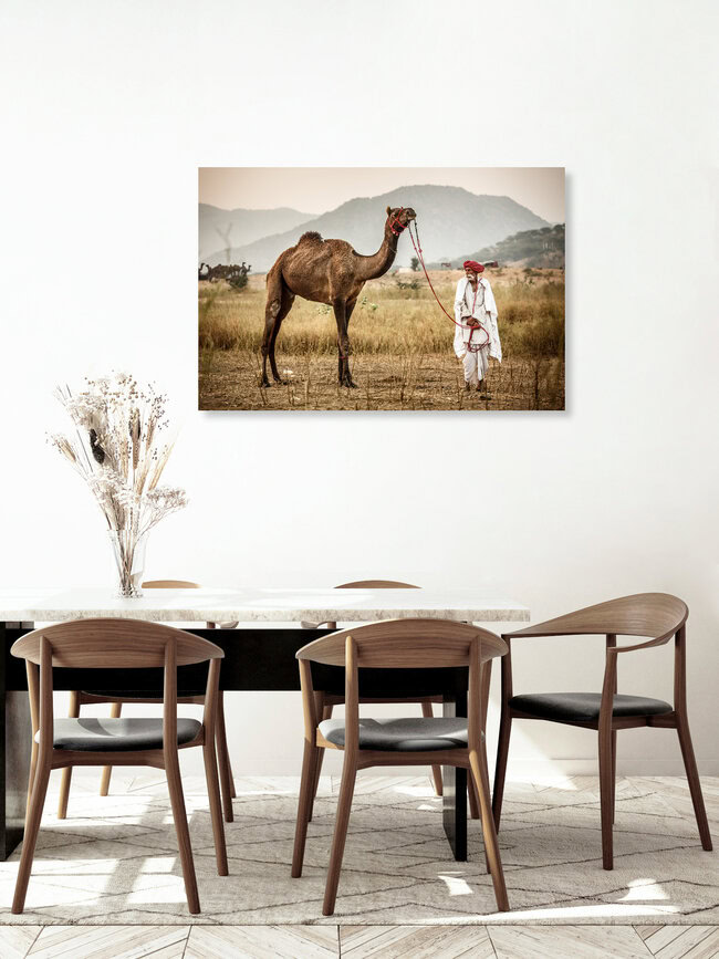 At the Camel Fair, Indien – Fotokunst von Jens Benninghofen als Poster oder Acrylglasbild