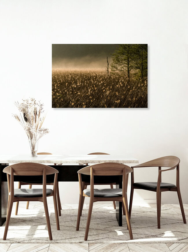 Schilf im Nebel, Deutschland – Fotokunst von Ralf Germer als Poster oder Acrylglasbild