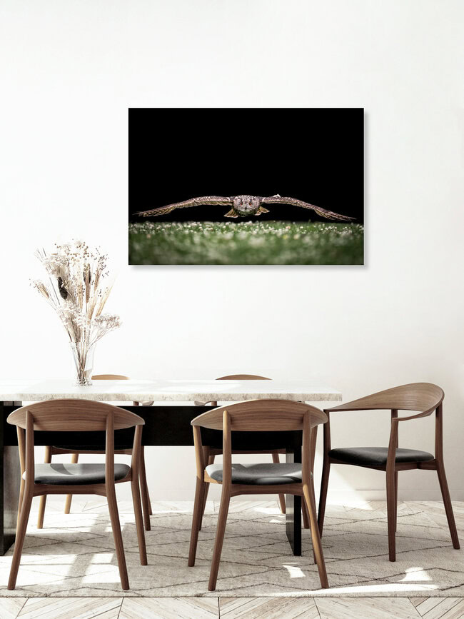 Der Uhu, Deutschland – Fotokunst von Markus Van Hauten als Poster oder Acrylglasbild