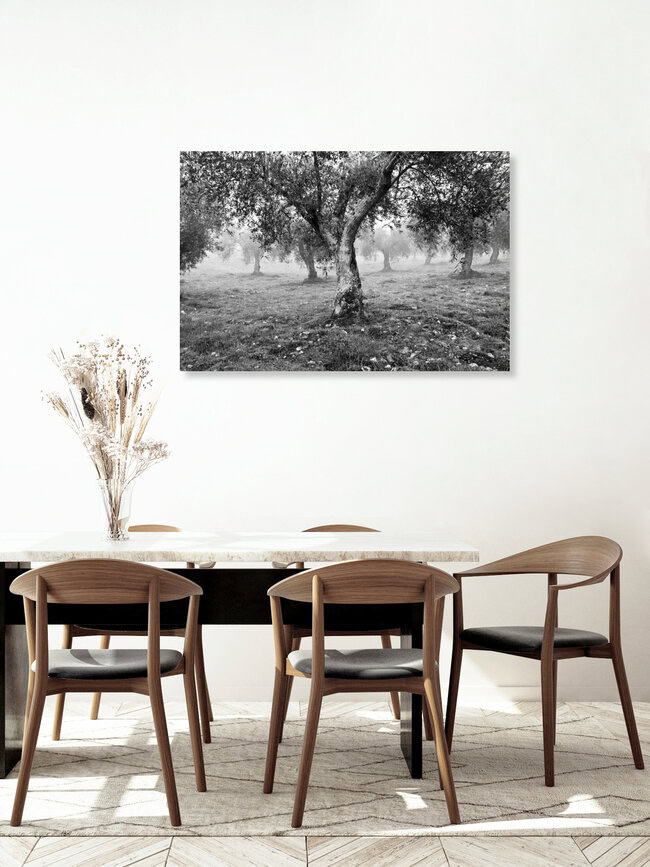 Olivenbäume in Trás-os-Montes, Portugal, Portugal – Fotokunst von Anna Kress als Poster oder Acrylglasbild