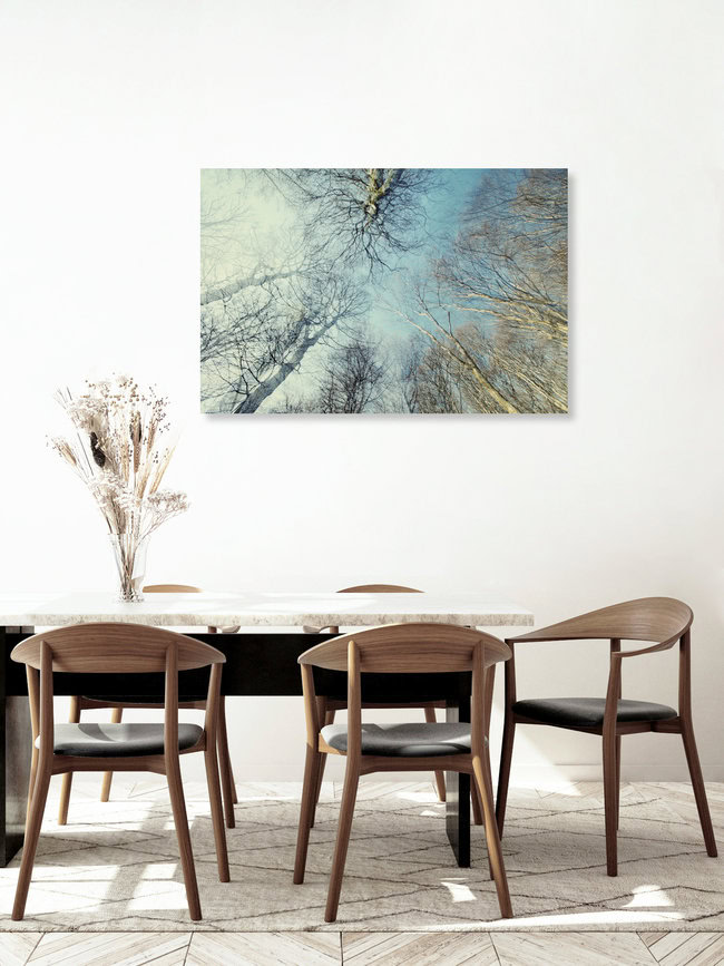 Winterlicher blauer Himmel im Teutoburger Wald, Deutschland – Fotokunst von Nadja Jacke als Poster oder Acrylglasbild