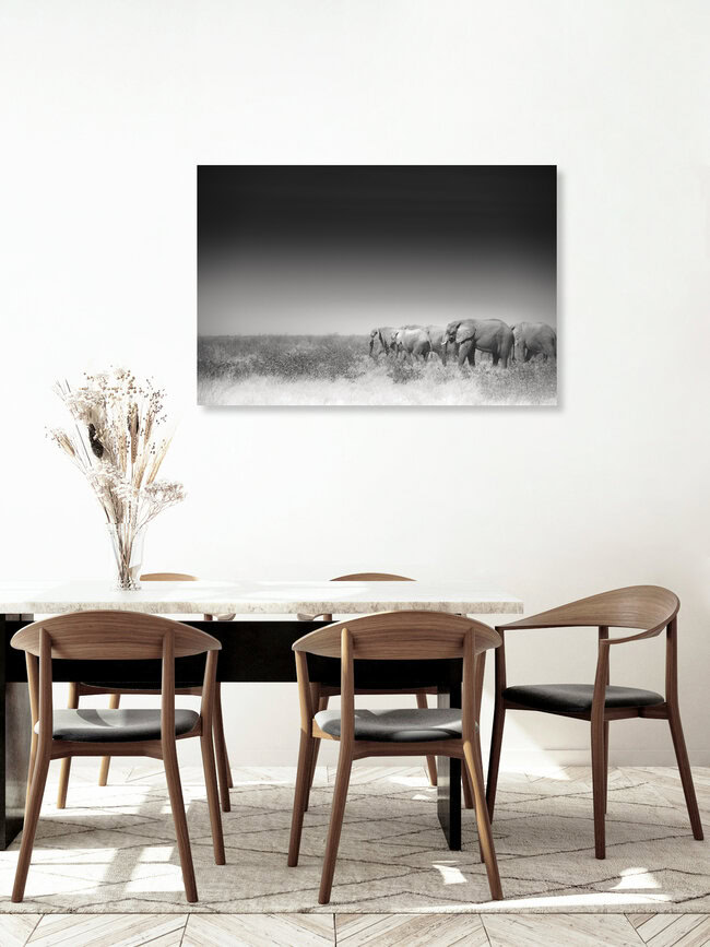 On their way, Namibia – wall art by Tillmann Konrad as Poster or Acrylic Glass Print