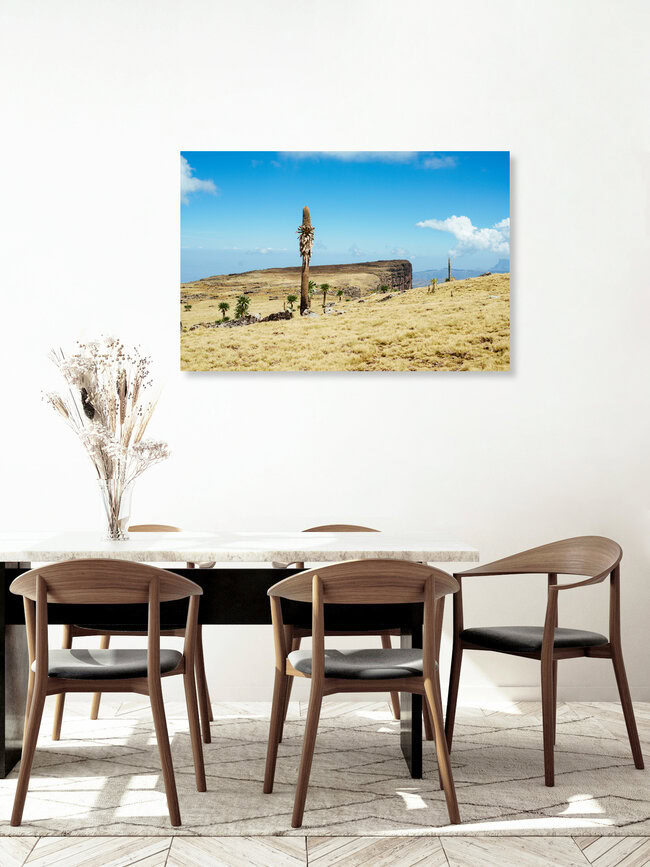 Lobelia in the Simian, Äthiopien – Fotokunst von Tahir Karmali als Poster oder Acrylglasbild