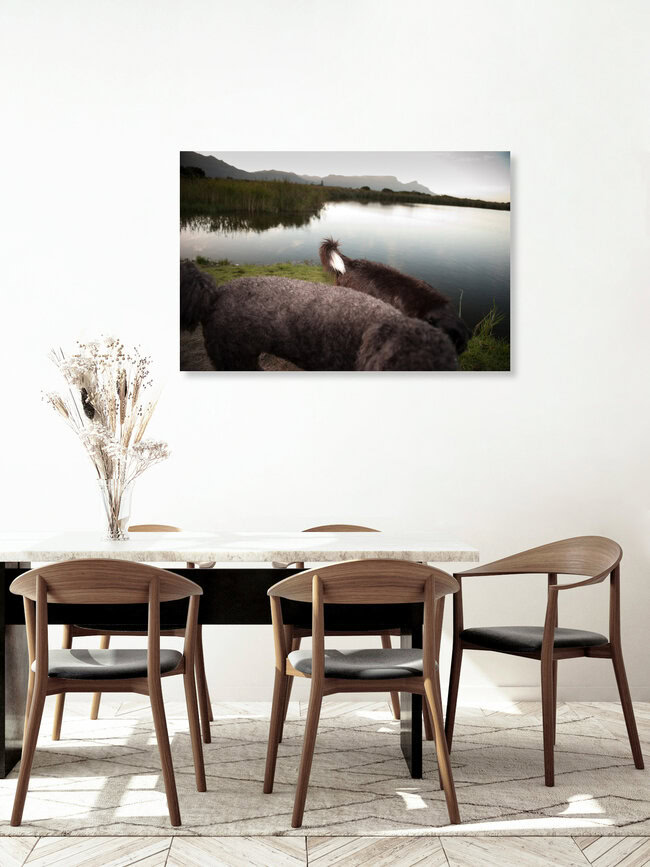 Friends, South Africa – wall art by Jac Kritzinger as Poster or Acrylic Glass Print