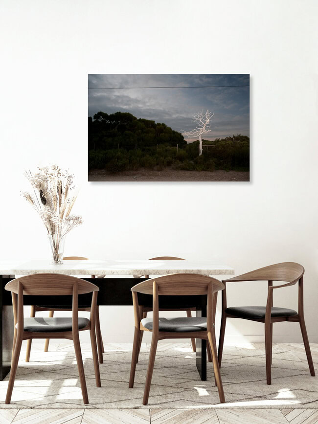 Roadside, South Africa – wall art by Jac Kritzinger as Poster or Acrylic Glass Print