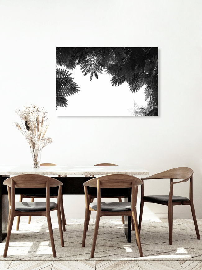 The Tree Top, Israel – wall art by Tal Paz-fridman as Poster or Acrylic Glass Print