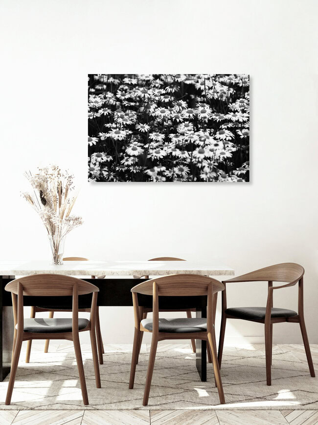 Gänseblümchen, Deutschland – Fotokunst von Rolf Bökemeier als Poster oder Acrylglasbild
