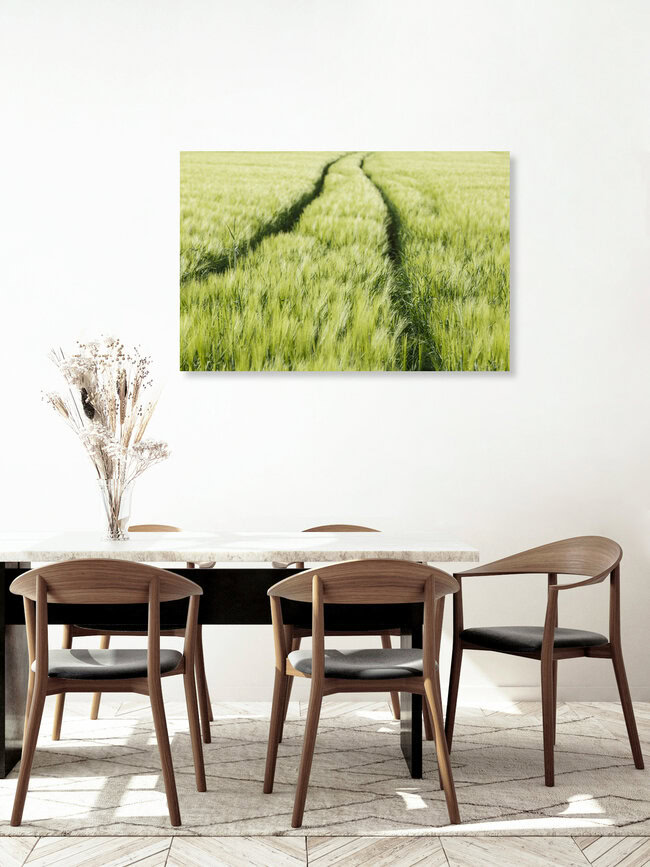 Getreidefeld, Deutschland – Fotokunst von Robert Vogt als Poster oder Acrylglasbild