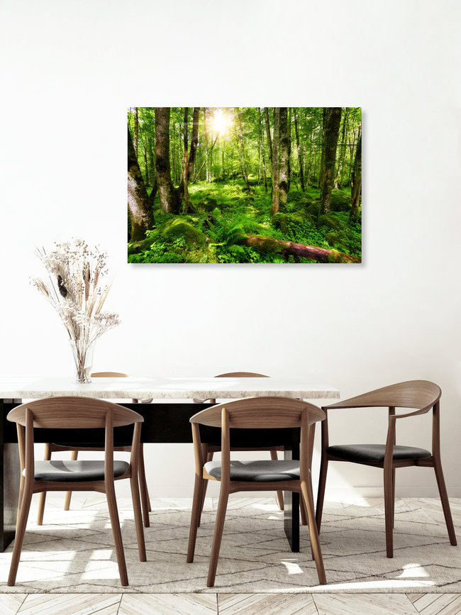 Deutscher Urwald, Deutschland – Fotokunst von Thomas Herzog als Poster oder Acrylglasbild