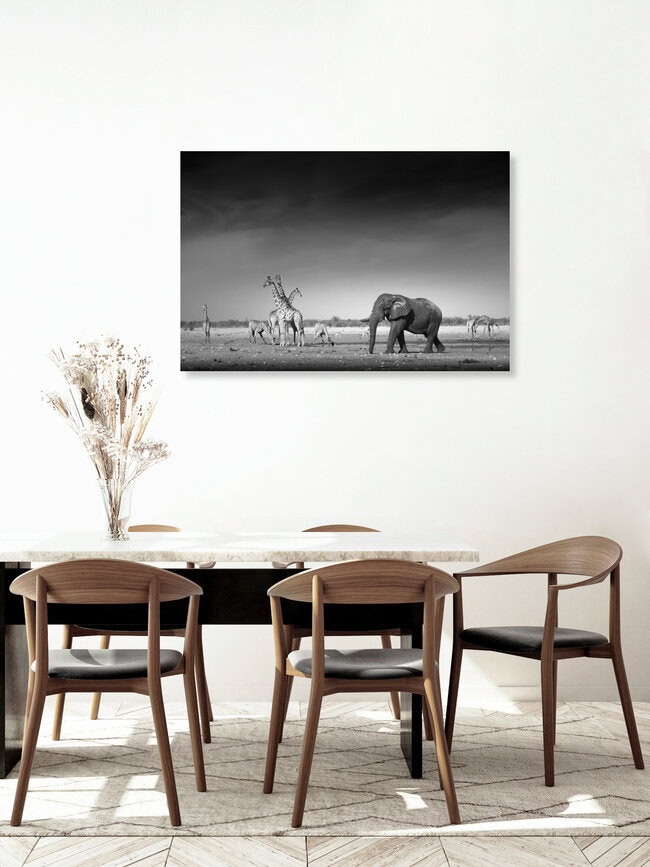 Waterhole, Namibia – wall art by Tillmann Konrad as Poster or Acrylic Glass Print