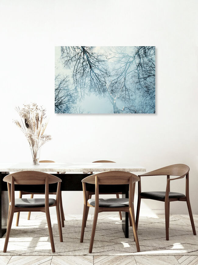 Baumkronen und winterlicher blauer Himmel, Deutschland – Fotokunst von Nadja Jacke als Poster oder Acrylglasbild