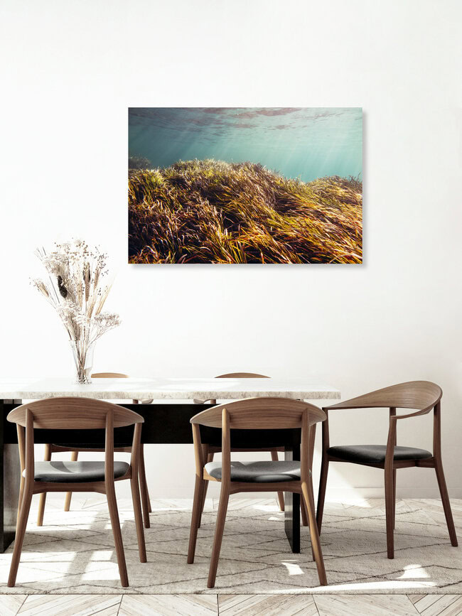 Unterwasser-Landschaft im Sonnenlicht, Spanien – Fotokunst von Nadja Jacke als Poster oder Acrylglasbild