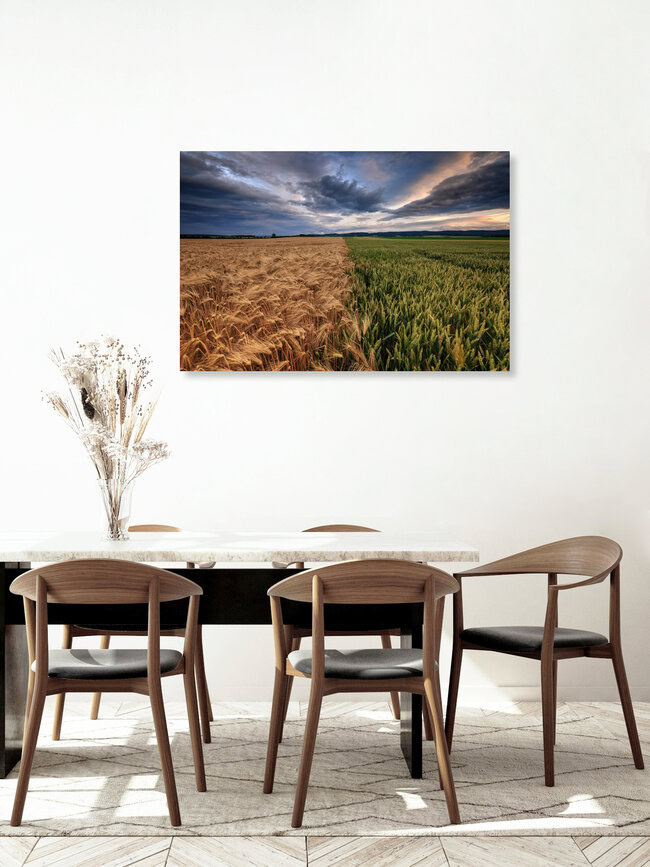 Zwei Felder, Deutschland – Fotokunst von Oliver Henze als Poster oder Acrylglasbild