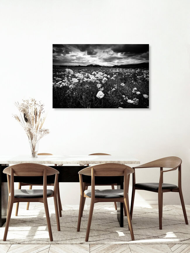 Poppy Seed, Germany – wall art by Oliver Henze as Poster or Acrylic Glass Print