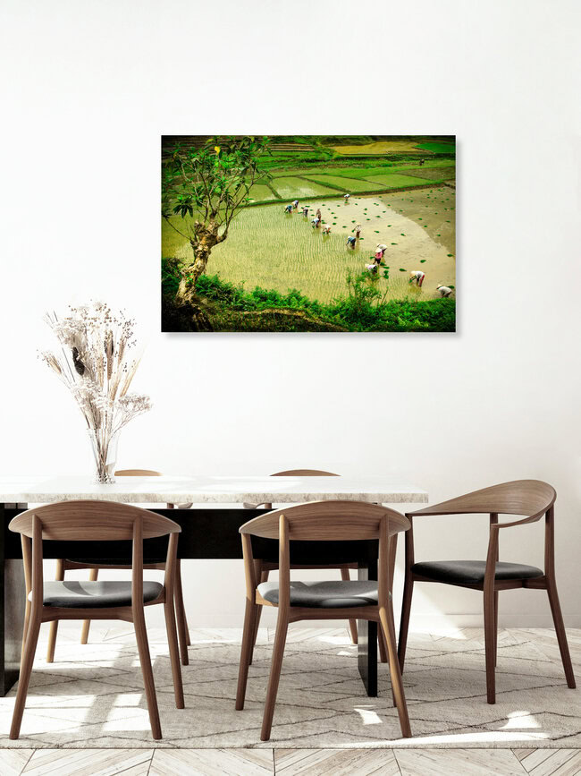 Feldarbeit, Vietnam – Fotokunst von Thomas Junklewitz als Poster oder Acrylglasbild