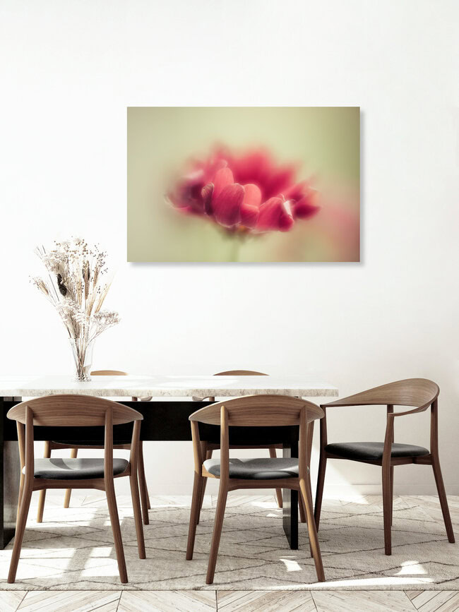 red beauty, Germany – wall art by Ezra Portent as Poster or Acrylic Glass Print