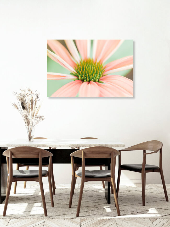 Tender little plant, Germany – wall art by Ezra Portent as Poster or Acrylic Glass Print