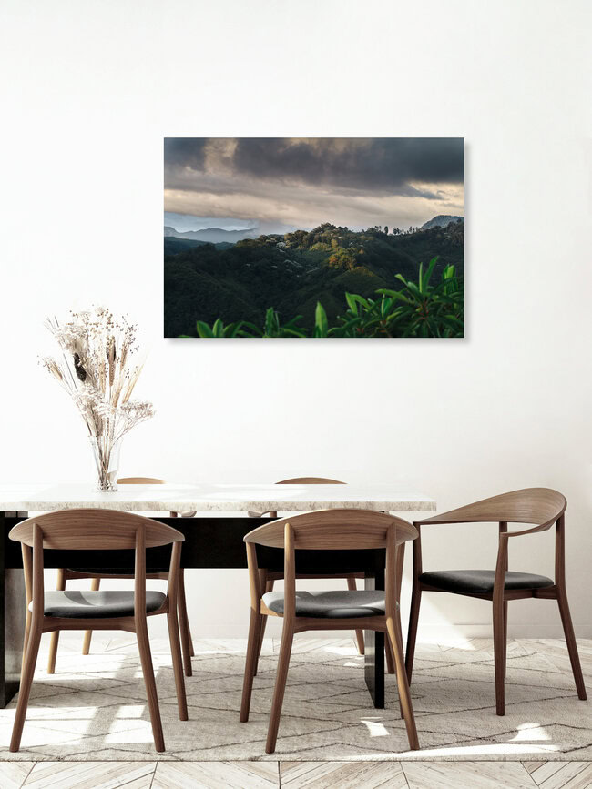 Tropisches Hochland, Kolumbien – Fotokunst von Felix Finger als Poster oder Acrylglasbild