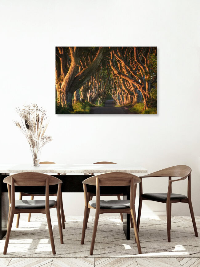 Ireland Dark Hedges, Ireland – wall art by Jean Claude Castor as Poster or Acrylic Glass Print
