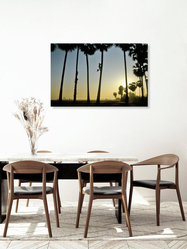 Palmensafternte, Myanmar – Fotokunst von Martin Seeliger als Poster oder Acrylglasbild