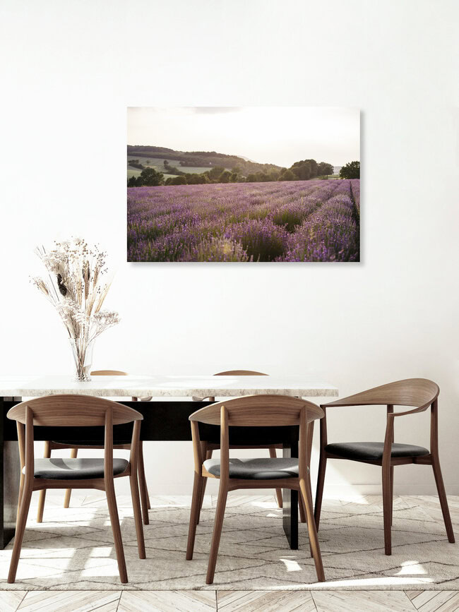 blühendes Lanvendelfeld in Ostwestfalen, Deutschland – Fotokunst von Nadja Jacke als Poster oder Acrylglasbild