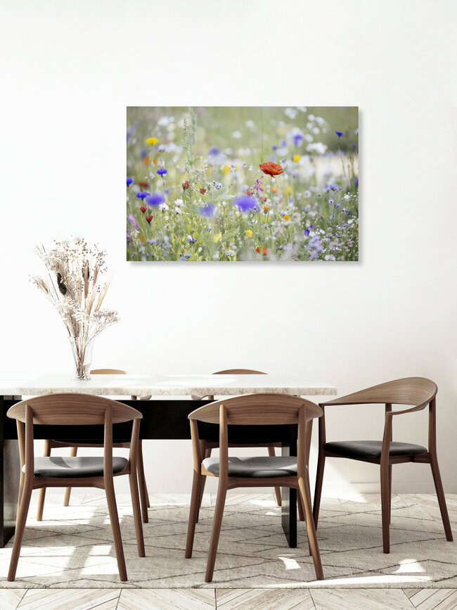 Summer flower meadow with wildflowers and poppy, Germany – wall art by Nadja Jacke as Poster or Acrylic Glass Print