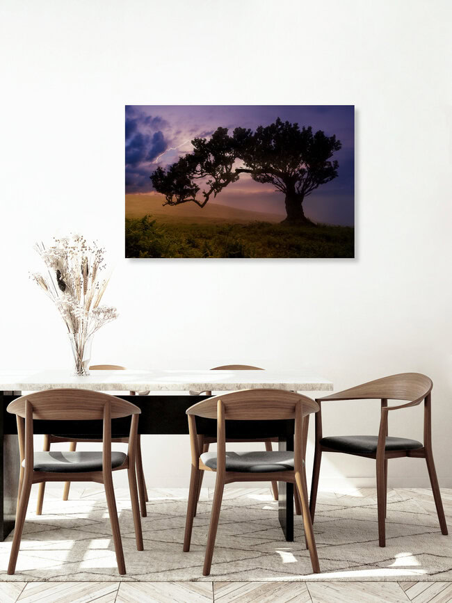 W I N D F L Ü C H T E R, Portugal – Fotokunst von Thomas Herzog als Poster oder Acrylglasbild