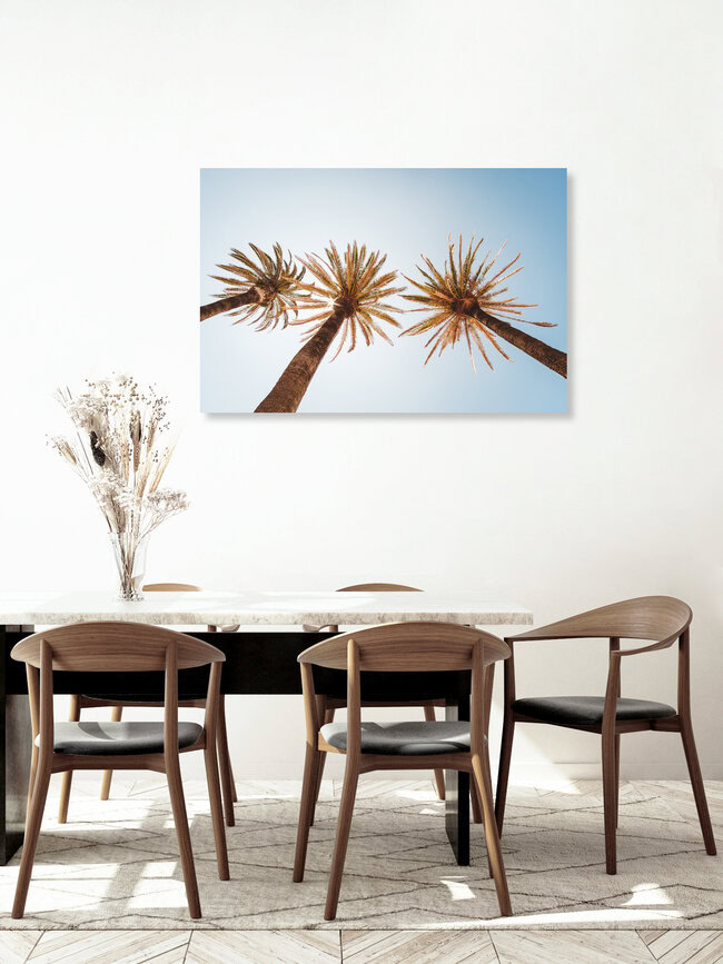 Unter Palmen, Portugal – Fotokunst von Andi Weiland als Poster oder Acrylglasbild
